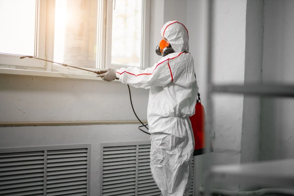 Professional mold remediation services in Swink, CO